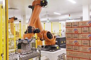 China Packaging Robots KUKA KR 120 Palletizing Industrial Robot Cell wholesale