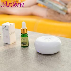 China Multifunctional Portable Mini Scent Nebulizer wholesale