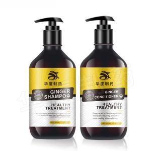 China Ginger Beauty Hair Shampoo For Hair Growth Nourishing wholesale