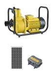 Hotel Solar Energy Motor Pump , Swimming Pool Water Pump With Solar System