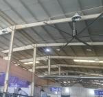 6.1M 20 Foot Big Size Commercial Ceiling Fans For Gyms