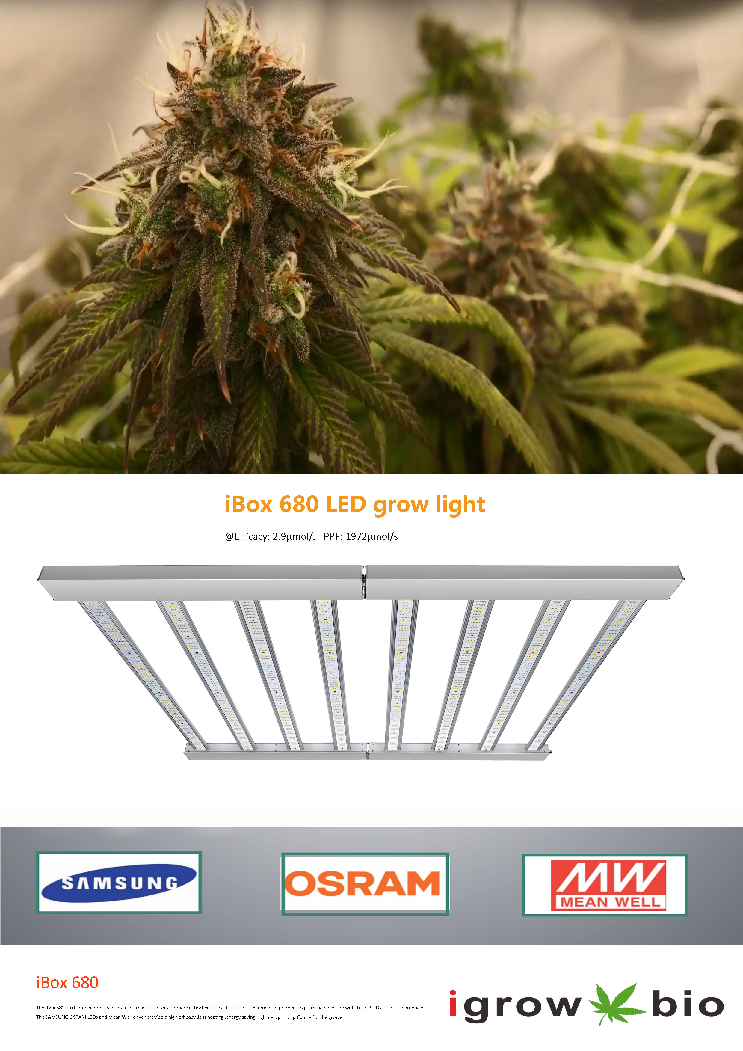 LM301B Full Spectrum Led Lights