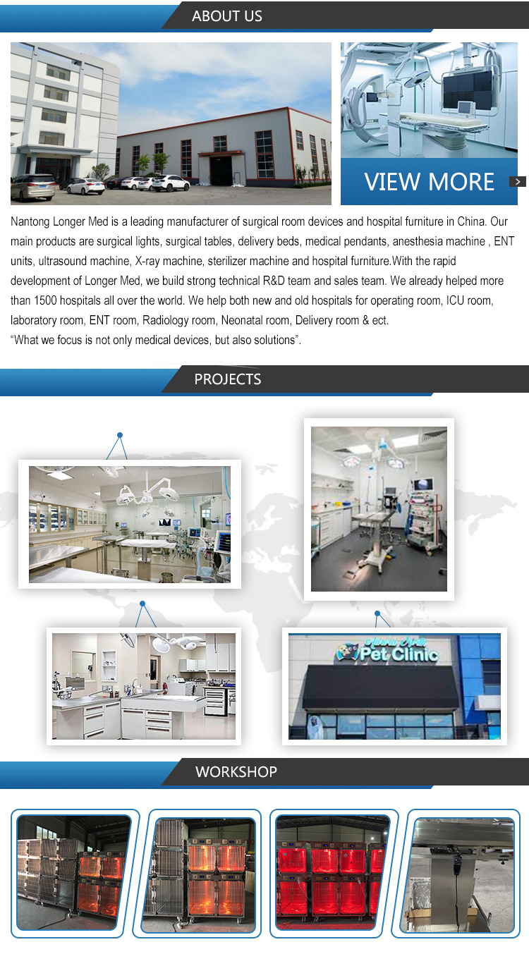 Veterinary mounted ceiling double head halogen surgical operation light ot led surgical lamp price