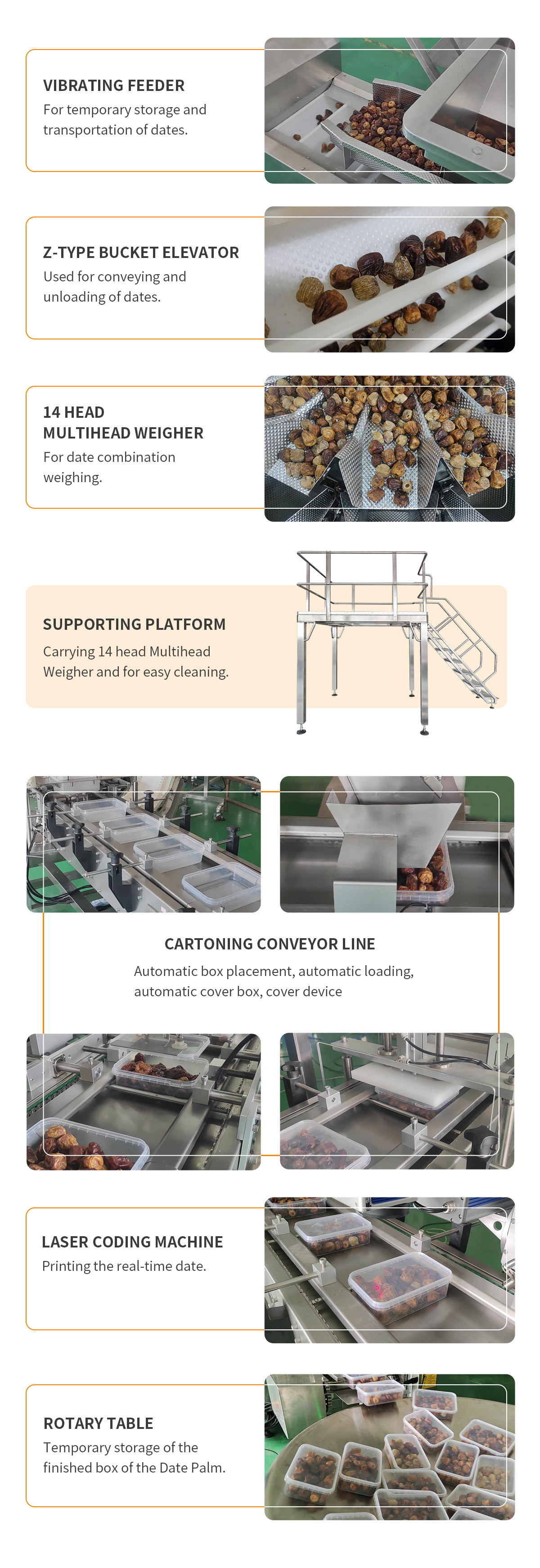 OEM Automatic Filling Machine Saudi Arabia Date Palm Cartoning System Dried Fruit Snack Multihead Weigher