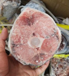 China Palatable Whole Round 250g up Frozen Yellowfin Tuna tail -60℃ For canned wholesale