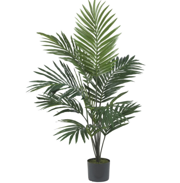 Height 220cm Green Artificial Plant For Indoor Decoration Kentia Palm Tree