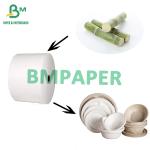 Biodegradable Food-Grade Sugarcane Paper For Disposable Plates 70gsm to 400gsm