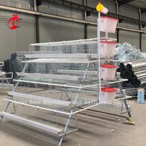 China Poultry Farm Battery Cage Price In Nigeria 4 Tier Layer Cage Iris wholesale