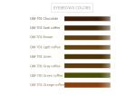 Safe Phoenix Tattoo Pigment Organic Tattoo Ink 55g Permanent Makeup Pigments