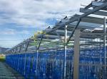 6000mm Agricultural Greenhouses Photovoltaic Mounting System Farm Shed