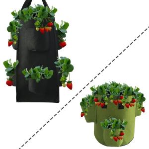 China 38L Quadrate Strawberry Grow Bags wholesale