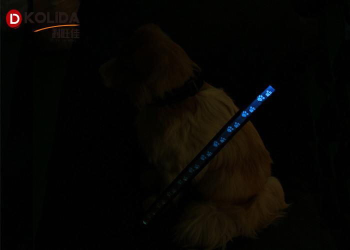 Pet Luminous Fast Slow Steady Flashing Glow In The Dark Dog Leash 2.5x120cm