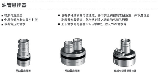 API 6A 2000psi ~20000psi PSL1~PSL3 PR1 Tubing Hanger for Tubing Head / Tubing Head Spool