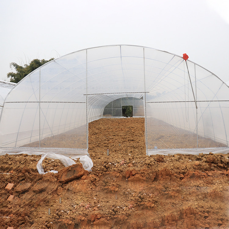 Side Ventilation Tunnel Plastic Greenhouse Cold And Wind Resistant