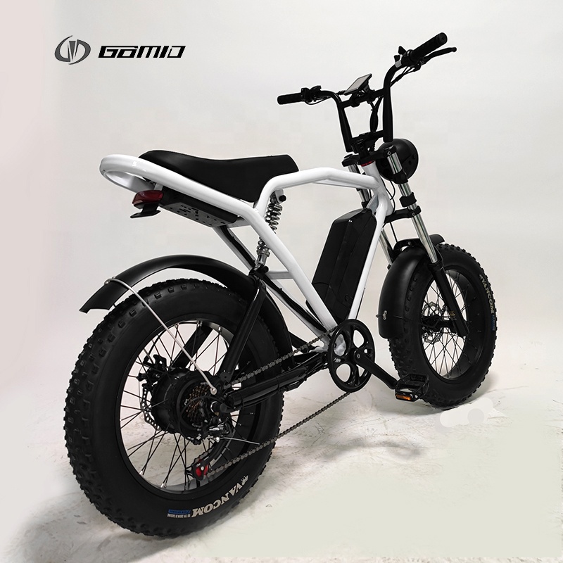 48V 500W City Bike Long Range Retro E-Bike with Powerful Lithium Battery and Disc Brake