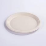 100 Compostable Oval Fruit Food Paper Bagasse Sugarcane Biodegradable Plates