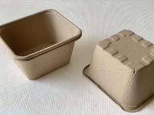 China WaterProof Dry Press Moulded Fibre Packaging Fruit Containers 100% Recyclable wholesale