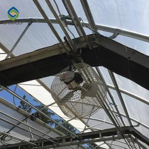 China Curtain Movable Automated Blackout Greenhouse For Medical Plant wholesale
