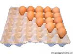 12-Celled Egg Carton /Box Making Machinery