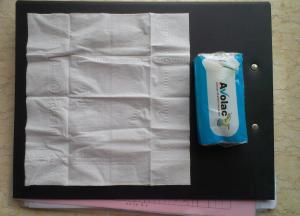 China Advertising Logo Printed Pocket Tissue Handkerchief for Travel / Office wholesale