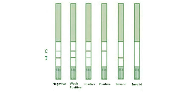 Green Spring Tylosin Food Safety Anti Rapid Test Kit Rtk Antibody 96Tests/Kit For Fresh Milk Powder