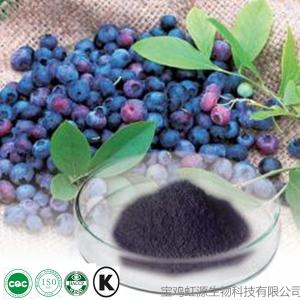 China Best quality purity fresh bilberry extract 5% 10% wholesale