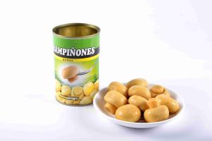 China Halal / Kosher Certificate Canned Whole Mushrooms Customer Brand Available wholesale