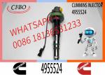 Neutral QSK19 QSK60 Fuel Injector F00BL0J019 2867149 4964173 4955527 4964170