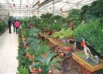 Vegetables / Fruits Agricultural Glass Greenhouse Strong Drainage Capacity