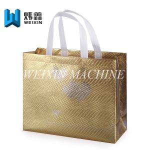 China Best Quality Aluminum Film Laminating Non Woven gift Bag With tension test report wholesale