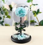 Hot sale Natural Fresh flower rose in big long glass dome Home Decoration and