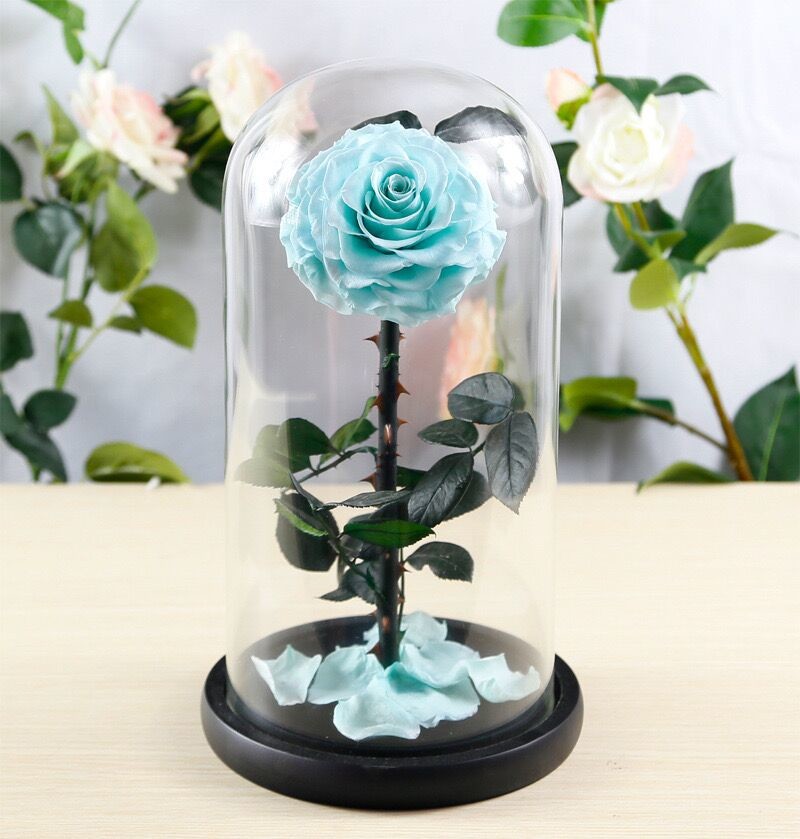 beauty and the beast roses preserved roses in glass dome rose for lover's gift