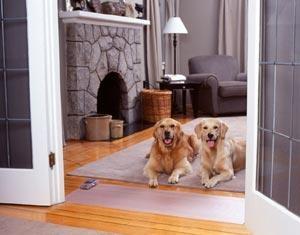 China Clean Health pet training mat Harmless To Pets Quick Release mat wholesale