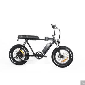 China Magnesium Alloy Frame 2020 20 Inch Fat Tire Electric Bike Snow Beach Cruiser EL-DN2011Z wholesale