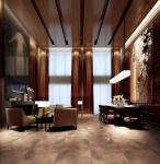 Acid Resistant Unglazed Porcelain Floor Tile 600x600 Mm / 300x600 Mm