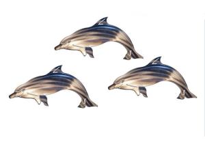 China Custom Delighted Metal Dolphin Wall Hanging , Dolphin Wall Sculptures Stainless Steel wholesale