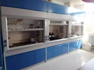 China Table Top Laboratory Fume Hood Bench Top Fume Hood Cabinet For Lab 1200mm wholesale
