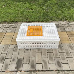 China Lightweight Farm Hygiene Convenience Diy Chicken Transport Crates wholesale