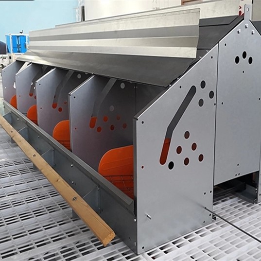 Broiler Automatic Feeder Chicken Breeding Equipment