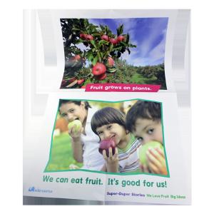 China Matte Varnishing C2S Paper Travel Advertisement Poster wholesale