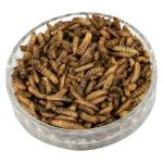Quality Protein with Cool Storage Black Soldier Fly Protein Powder