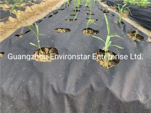 China Polypropylene Spunbond 150GSM Garden Weed Barrier Fabric wholesale