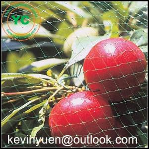 China 35' x 25' POULTRY NETTING GAME BIRD NET AVIARY NETS wholesale