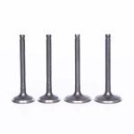 Customized Engine Intake Valves High Strength For Toyota 1RZ 1371175020