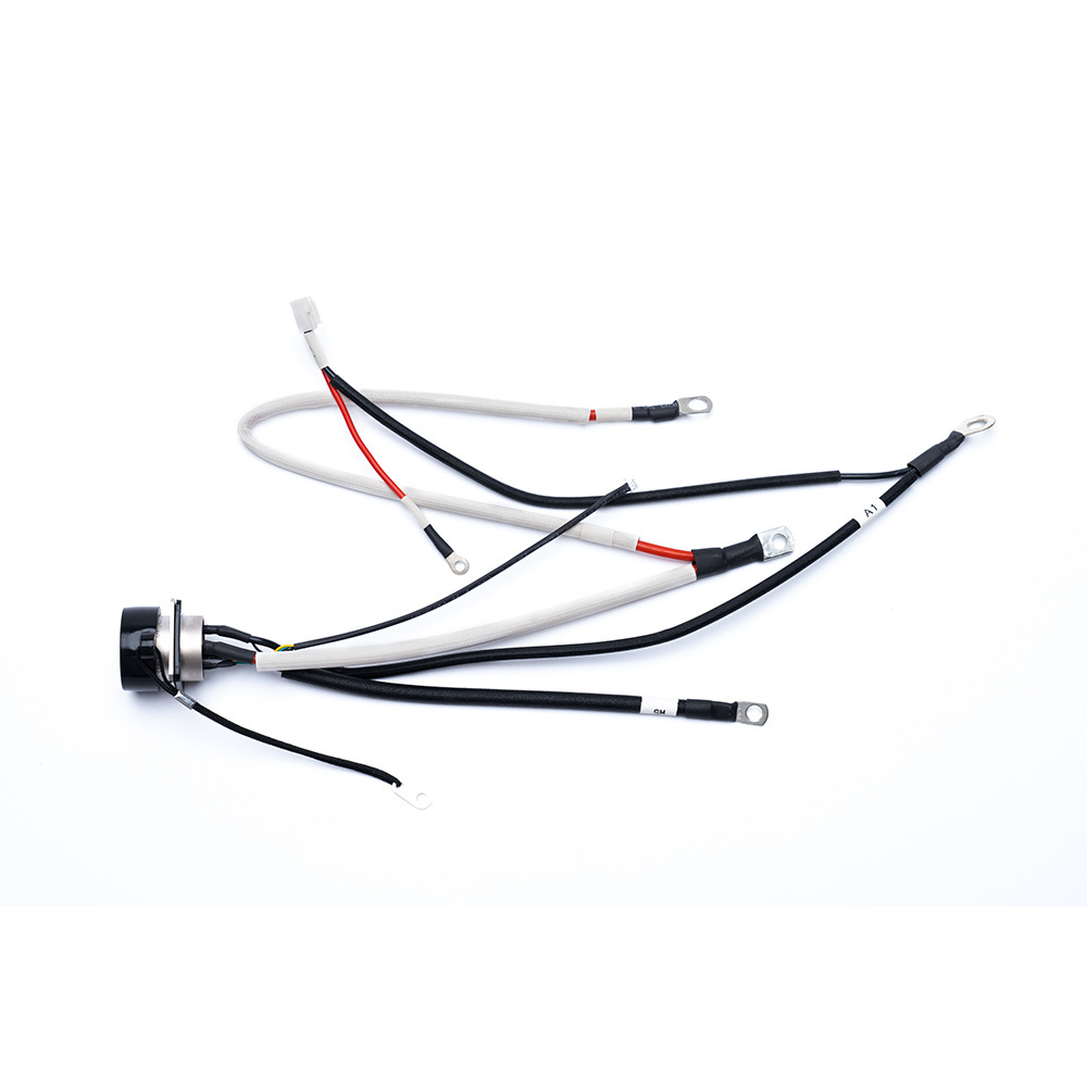 IATF16949 Quality Assurance Waterproof Wire Harness for Steering System Cable Assembly with Te Molex Aptiv Connector