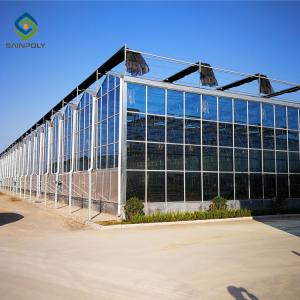 China Alloy Transparent 9.6m Commercial Glass Greenhouse wholesale