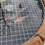 Sell Well New Type Stainless Steel Mesh Net