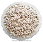 China manufacturers wholesale confectionery grade sunflower seed kernel for