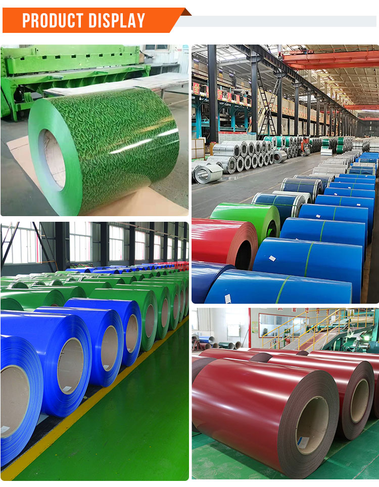 Dx51d Dx52D Dx53D Pre Painted Galvanized Steel Sheet And Coils