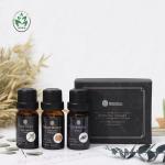 Health Care 10ml Cinnamon Aromatherapy Oil For Skin Care